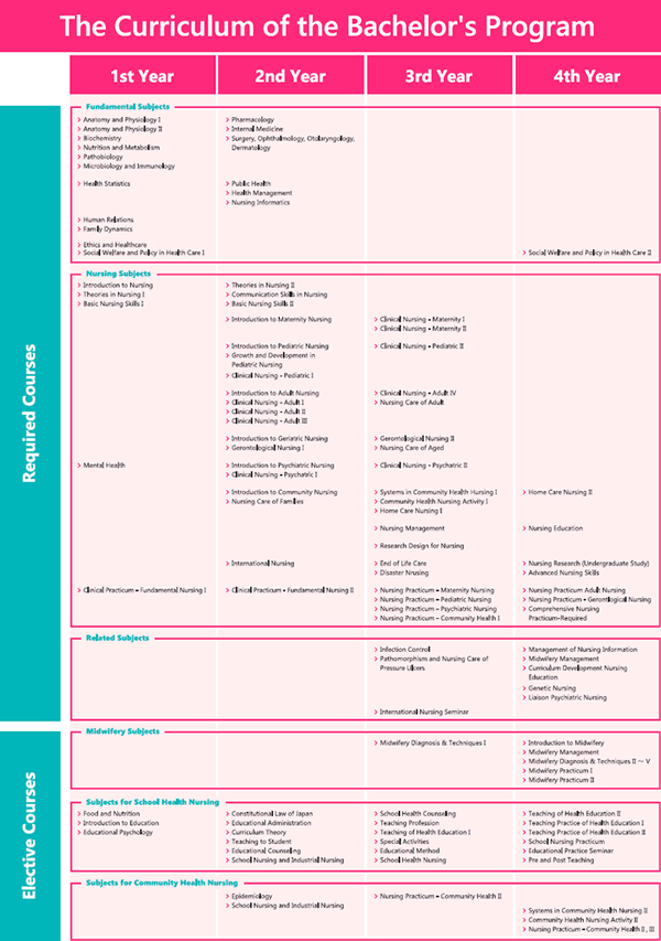 curriculum